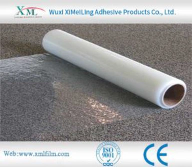 فلور کے تحفظ کی فلم